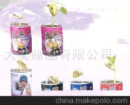 【寵物花卉,魔豆各地代理(圖)】價(jià)格,廠家,圖片,娛樂休閑產(chǎn)品代理加盟,大美禮品 -