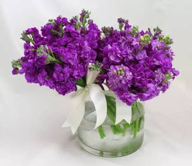 40種常見花卉養(yǎng)護(hù)方法,火速收藏